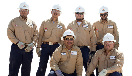 stallion company men